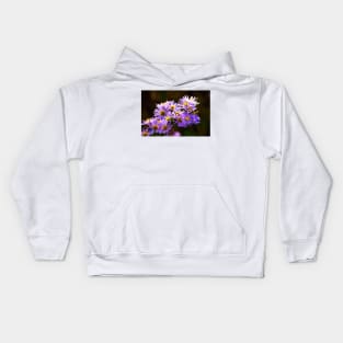 Michaelmas Daisies - Digital Art Kids Hoodie